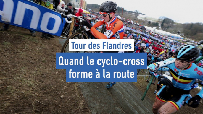 Quand le cyclo-cross forme à la route - Cyclisme - Tour des Flandres