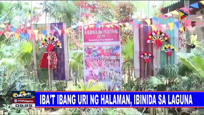 Iba't ibang uri ng halaman, ibinida sa Laguna