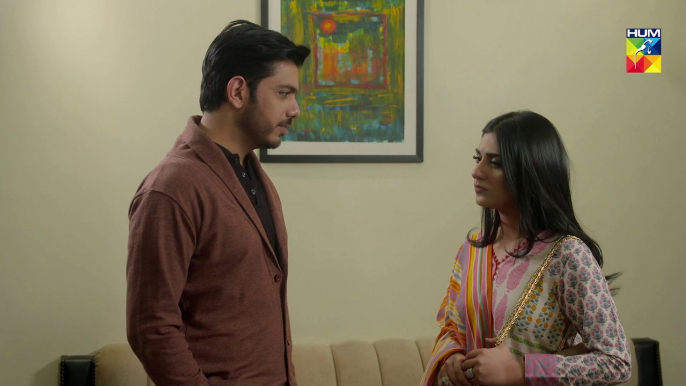 Mere Humdam Episode #11 HUM TV Drama 9 April 2019