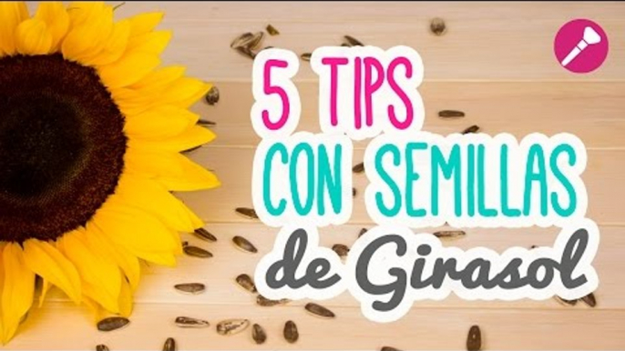 ¡5 Tips de Belleza! Beneficios de las Semillas de Girasol | Descubre para qué sirven| Catwalk