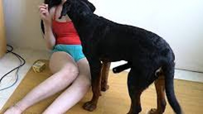 Lovely smart girl Playing Baby Cute Dogs