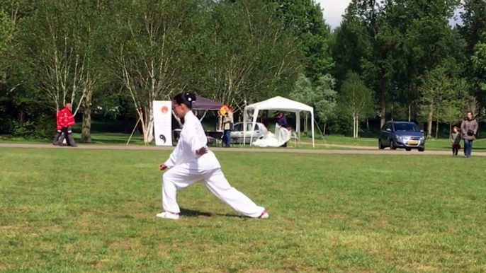 Martial Arts by Argentina Cotcheza Wu Style Tai Chi Chuan at World Tai Chi Day 2019 Zwolle