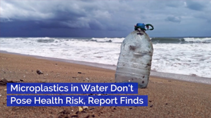 The WHO Says Microplastics Aren't Hurting Us...Yet