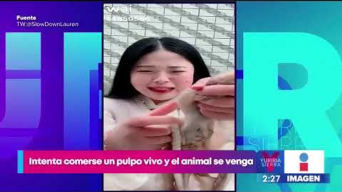 Youtuber intenta comerse un pulpo vivo y ¡el animal se venga! | Noticias con Yuriria Sierra