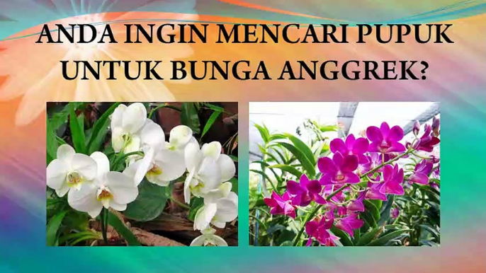 JUAL Pupuk Untuk Anggrek Di Banyumas, HP/WA : 0822-2022-8118