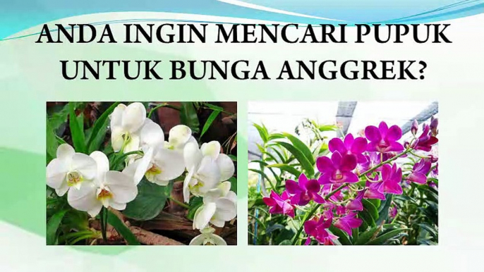 JUAL Pupuk Tanam Anggrek Di Surakarta, HP/WA : 0822-2022-8118