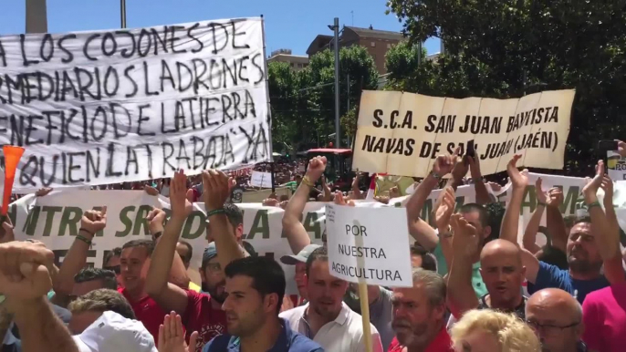 Miles de agricultores protestan en Jaén ante la "situación de emergencia" en el olivar