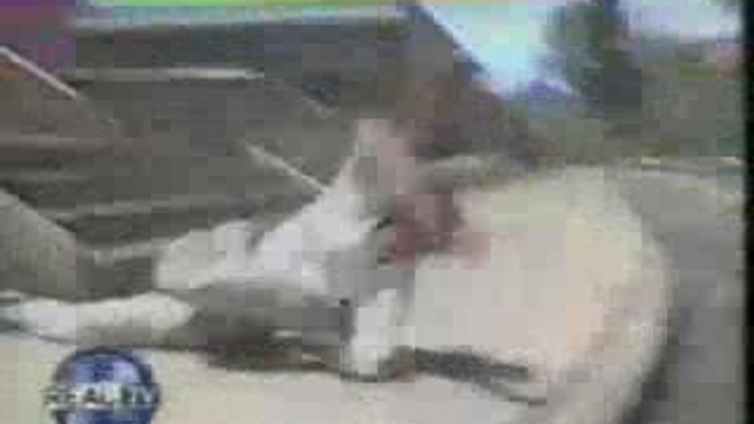 Jackass - Horrible crash en skate