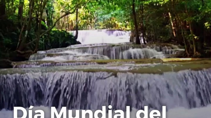 Día Mundial del Medio Ambiente 2019: el derecho a un aire limpio