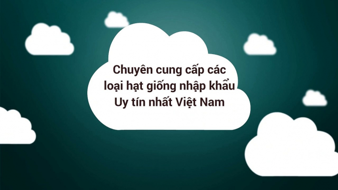 Cung cấp các loại hạt giống ngoại nhập khẩu