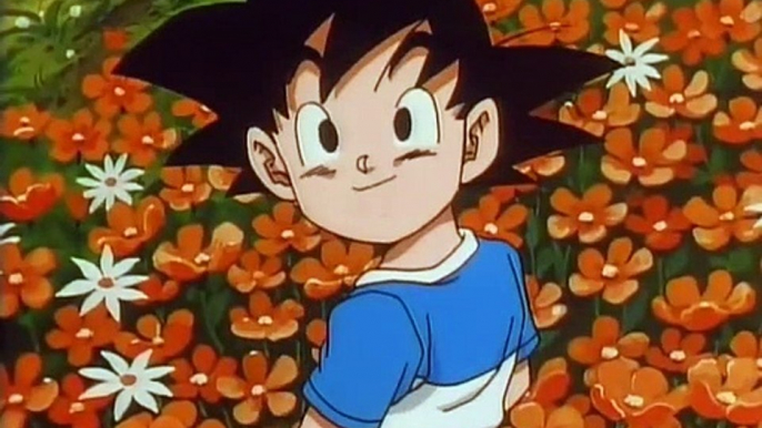 Dragon Ball GT OAV - 100 ans après