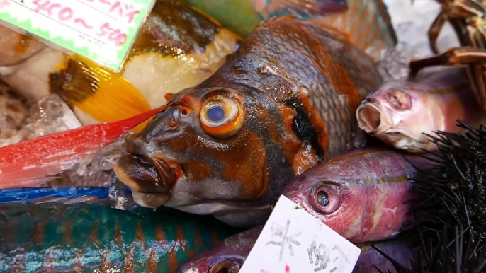 Japanese Street Food - YELLOW GROUPER Cooked Two Ways Okinawa Seafood Japan