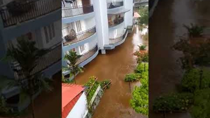 Kerala rains: Death toll rises to 22 as two killed in flash floods in Ernakulam