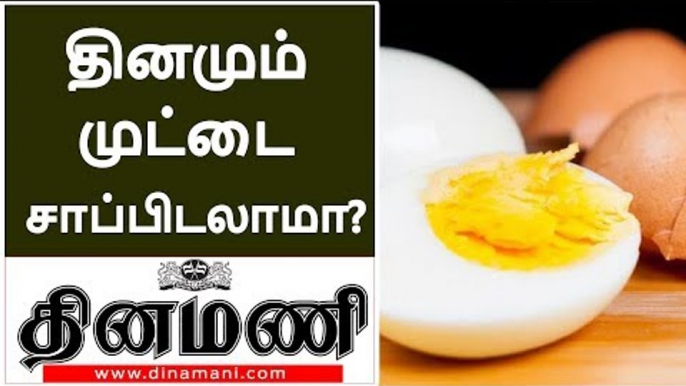 Is Eating Egg Yolks Good or Bad? - Nutrition Tips in Tamil  | Health benifits of egg in tamil