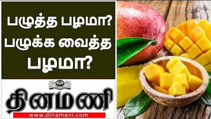 Calcium Carbide Ripened Mangoes Vs Naturally Ripened Mangoes!