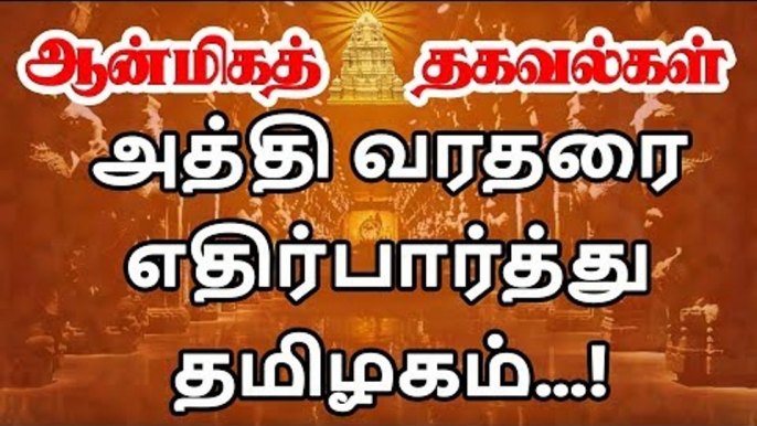 Athi varadar Festival Start |  அபூர்வ அத்தி வரதருக்கு இந்தாண்டு எப்போது உற்சவம்?