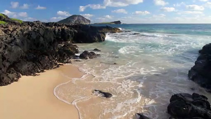 Oahu Hawaii Waves 4K UHD Sample 1 Min 24FPS Canon 1DC Sample Content