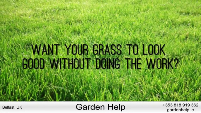 Gardening and Landscaping Services in Belfast