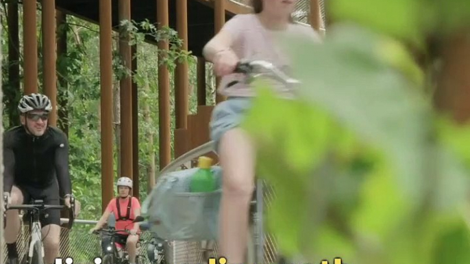 Belgium Just Opened A Divine Cycling Path Inside A Forest