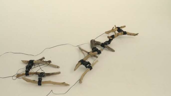 This creepy crawling robot has a skeleton made from tree branches