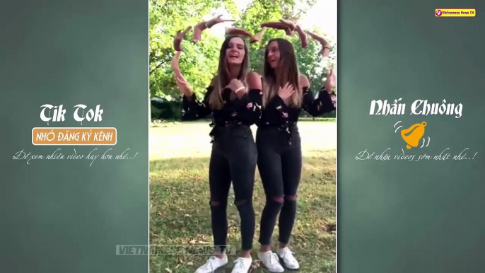 VER VIDEOS DE TIK TOK #1