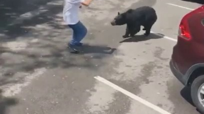 Il se rapproche beaucoup trop d'un ours et va éviter le pire de justesse