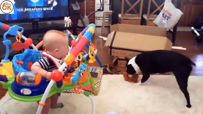 Dogs and babies - The most interesting situations - Funny Dogs and Baby