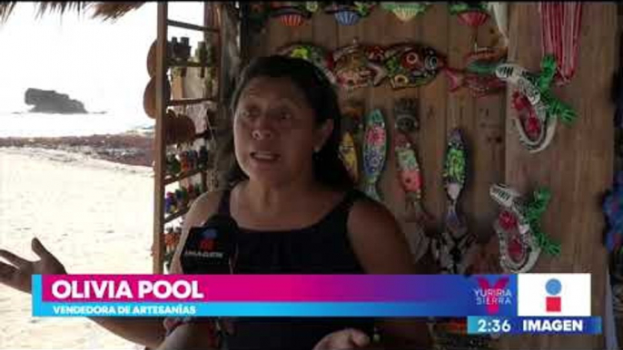 Sargazo afecta a las playas mexicanas y al turismo de Quintana Roo | Noticias con Yuriria Sierra