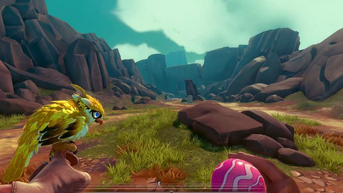 Falcon Age - Test de la personnalisation des plumes des oiseaux