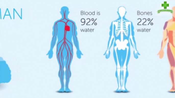 If You Don't Drink Water Daily What Happens To Your Body