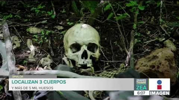 Localizan 3 cuerpos y más de 5 mil huesos en Sinaloa | Noticias con Francisco Zea