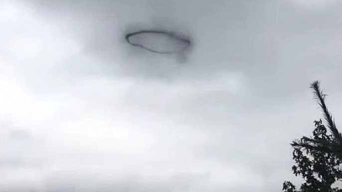 Mystère : un cercle de fumée noire apparaît dans le ciel. Oiseaux, nuage, OVNI???