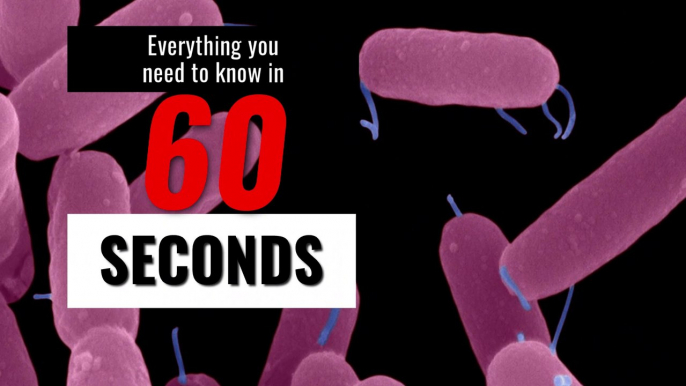 Sepsis - Everything  you need to know about sepsis