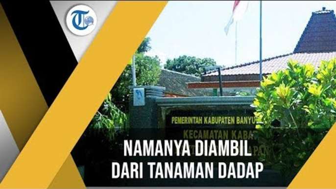 Desa Dadapan, Sebuah Desa di Wilayah Kabat, Kabupaten Banyuwangi, Provinsi Jawa Timur