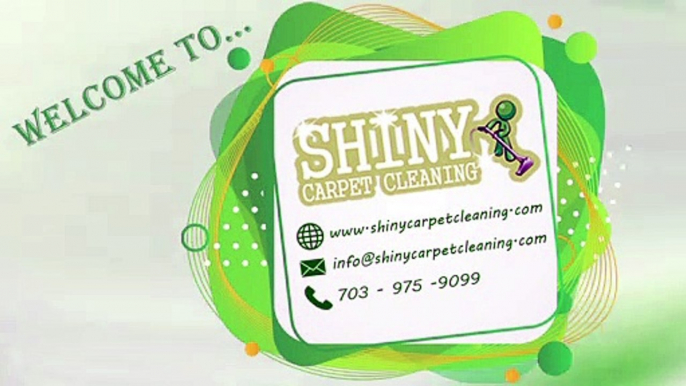 Carpet Cleaning Company Near Me | Springfield Carpet Cleaning Company | Shiny Carpet Cleaning