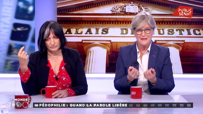 Comment lutter contre la pédophilie ? - Un monde en docs (19/10/2019)