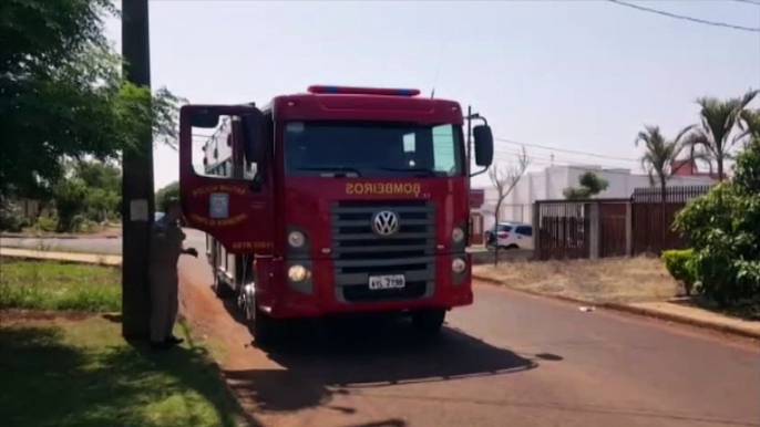 Gambá em cima de poste mobiliza Bombeiros no Jardim Veneza