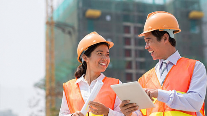 Software utilizado en la construcción podría disminuir tala de árboles