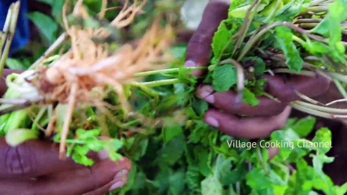 MUSHROOM Gravy Recipe - Chettinad Style Mushroom Masala Cooking in Village - Mushroom Village Food