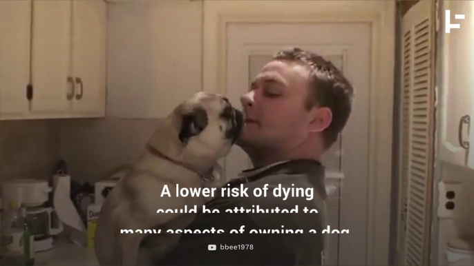 Owning a Dog Can Help You Live Longer