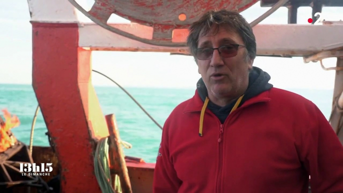 "La coquille Saint-Jacques anglaise est trempée dans l'eau. Nous, elle est vivante", affirme un pêcheur français