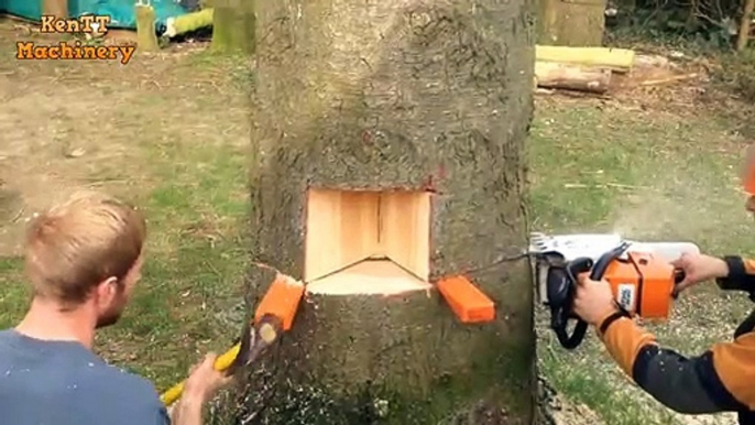 Amazing Fastest Skill Cutting Big Tree ChainSaw Machines, Heavy Biggest Felling Tree Machine working