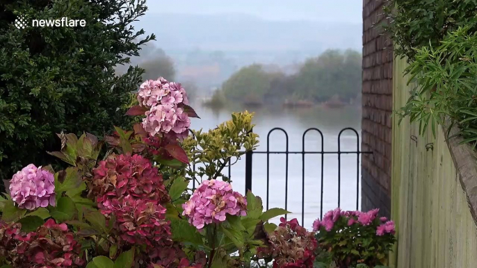 UK floods: Tewkesbury flooded as River Severn busts its banks