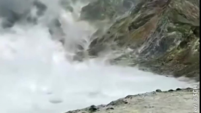 Nouvelle-Zélande : L'éruption d'un volcan fait au moins cinq morts