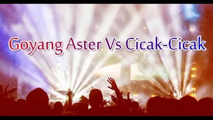 Lagu Terhitz 2019_Goyang Aster vs Cicak2 reborn