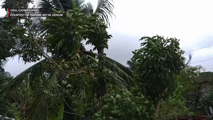 #TisoyPH brings strong winds to Bicol region