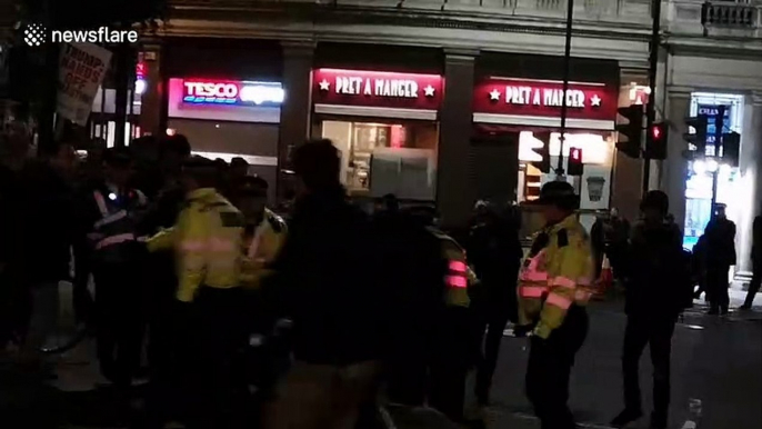 Protestor arrested at anti-Trump protest outside Buckingham Palace