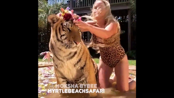 Tigres, singes... elle s'amuse avec toutes sortes d'animaux sauvages