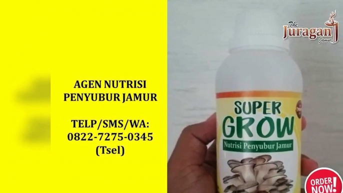 MANJUR! TELP/SMS/WA : 0822-7275-0345 (Tsel), Agen Nutrisi Perangsang Pertumbuhan Jamur Tiram Bali,