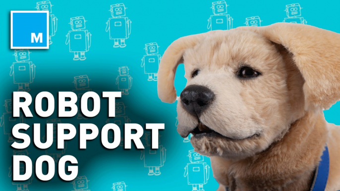 This robotic dog serves as an emotional support puppy — Strictly Robots